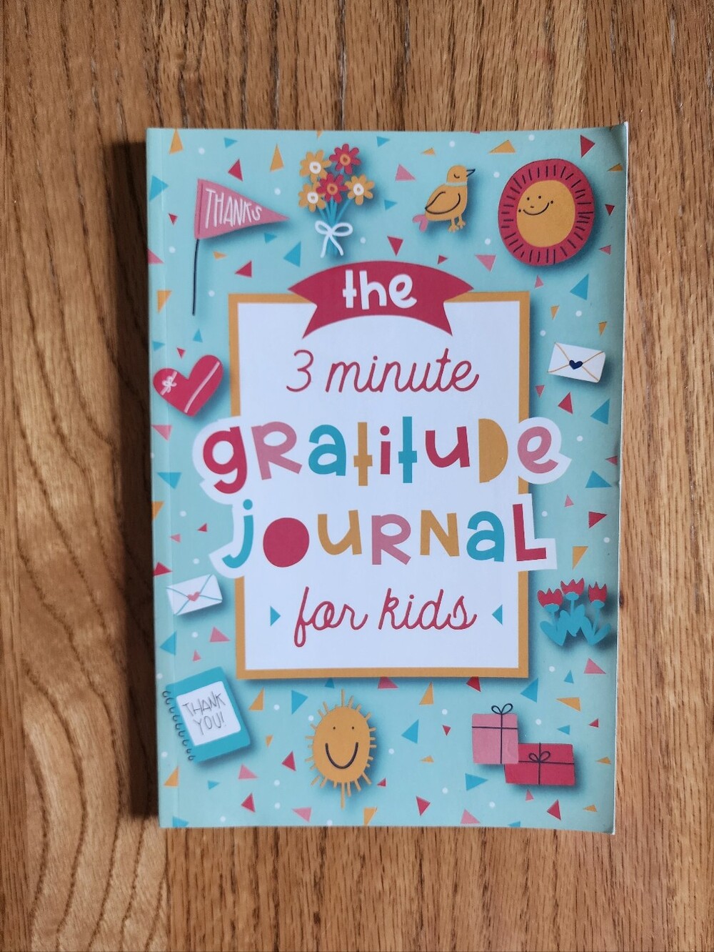 The 3 Minute Gratitude Journal for Kids Mental Health Nonfiction Paperback Book